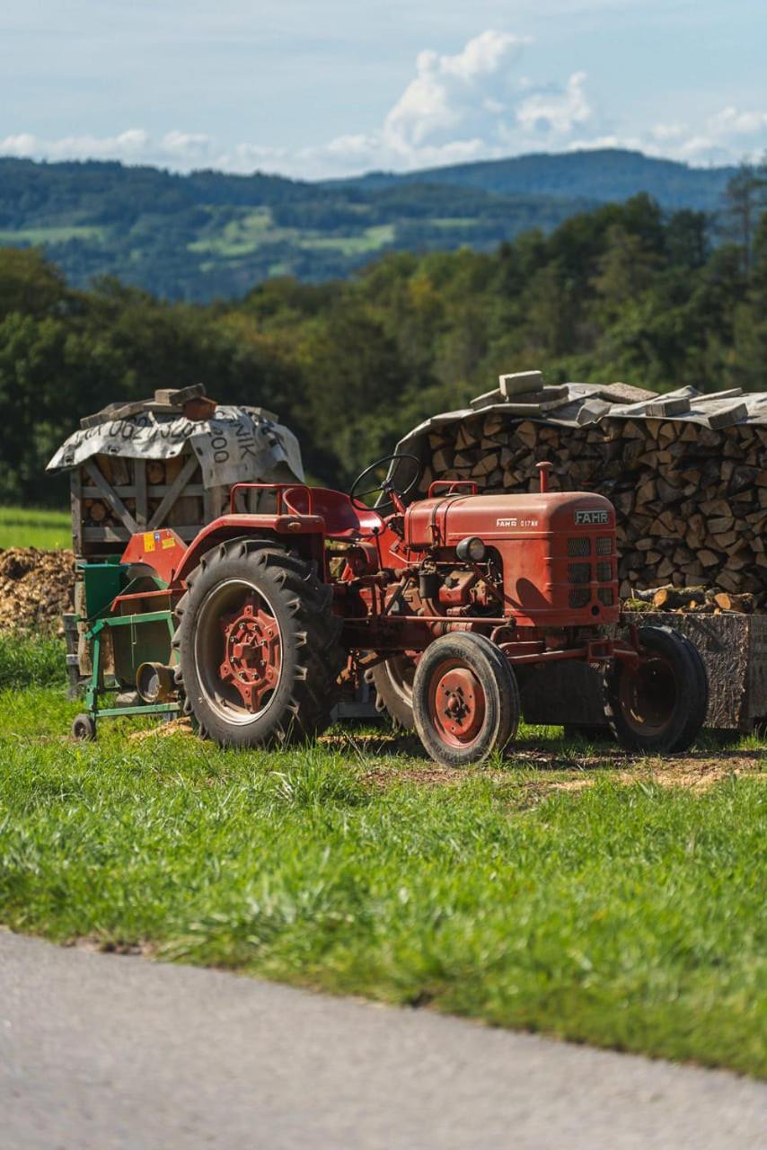 Gruenewaldhof In Rimbach Im Odenwald Lägenhet Exteriör bild