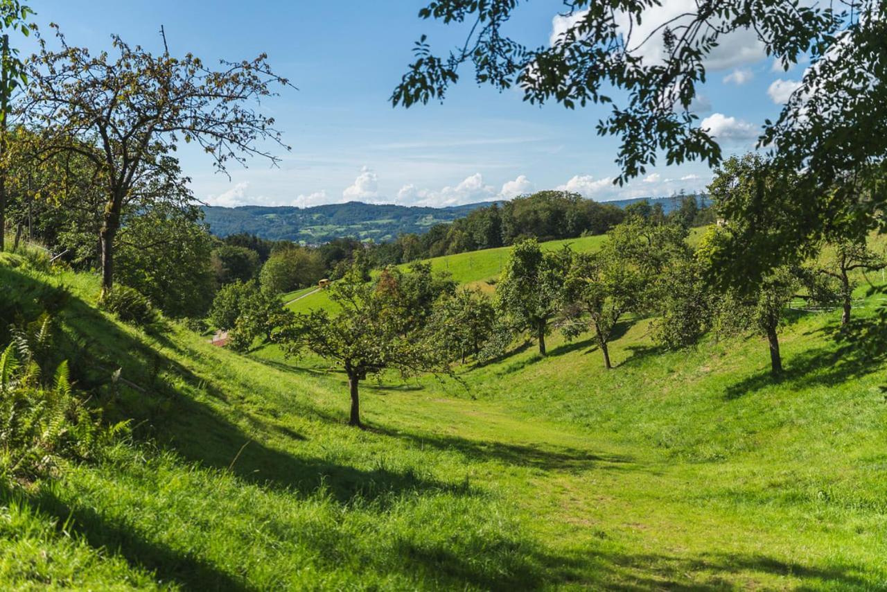 Gruenewaldhof In Rimbach Im Odenwald Lägenhet Exteriör bild